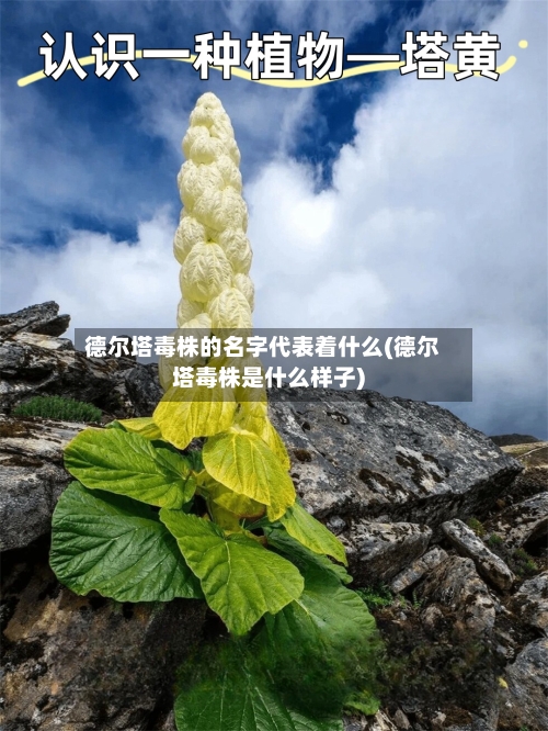 德尔塔毒株的名字代表着什么(德尔塔毒株是什么样子)-第2张图片