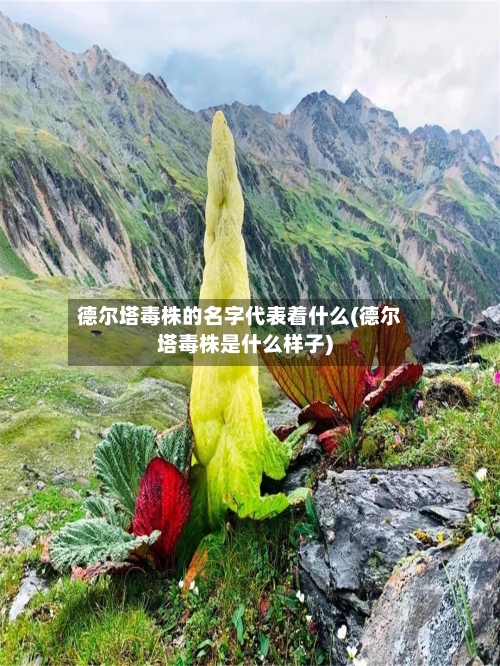 德尔塔毒株的名字代表着什么(德尔塔毒株是什么样子)