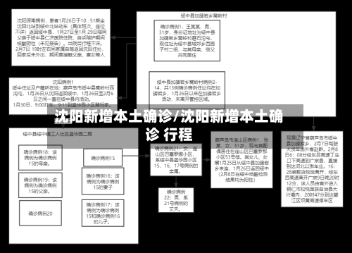 沈阳新增本土确诊/沈阳新增本土确诊 行程
