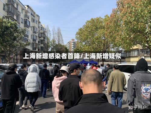 上海新增感染者首降/上海新增疑似