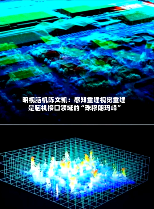 明视脑机陈文凯：感知重建视觉重建是脑机接口领域的“珠穆朗玛峰”-第2张图片