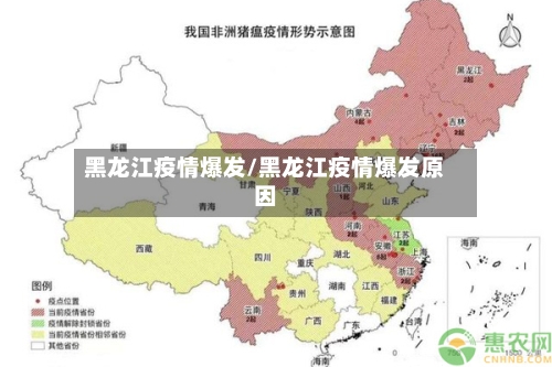 黑龙江疫情爆发/黑龙江疫情爆发原因-第2张图片