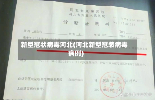 新型冠状病毒河北(河北新型冠装病毒病例)-第2张图片