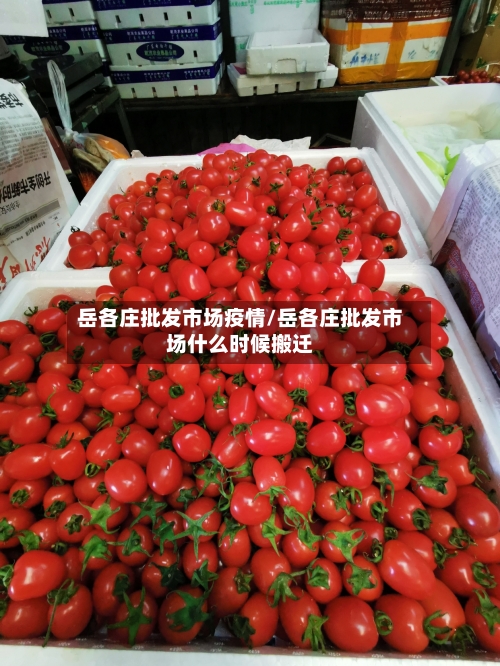 岳各庄批发市场疫情/岳各庄批发市场什么时候搬迁