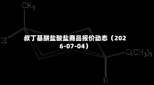 叔丁基肼盐酸盐商品报价动态（2026-07-04）