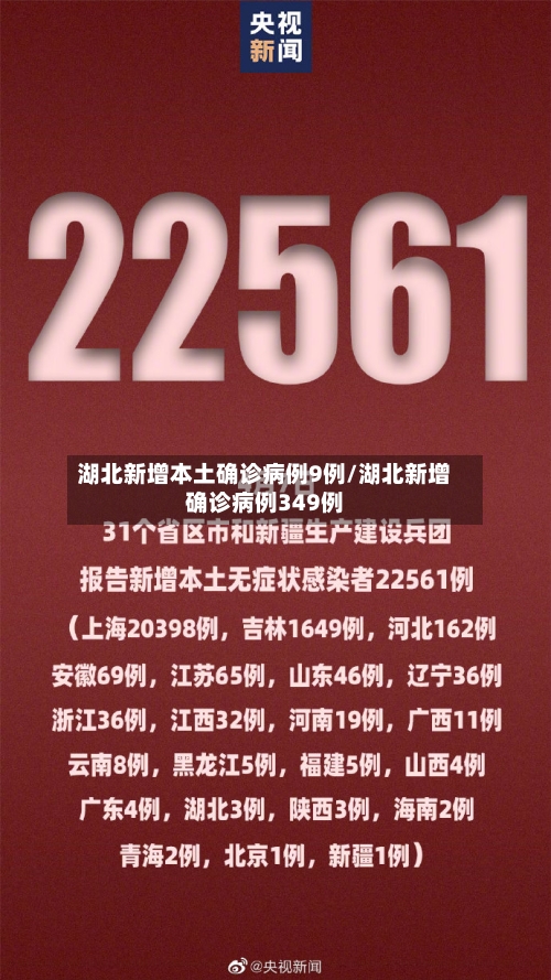 湖北新增本土确诊病例9例/湖北新增确诊病例349例-第3张图片