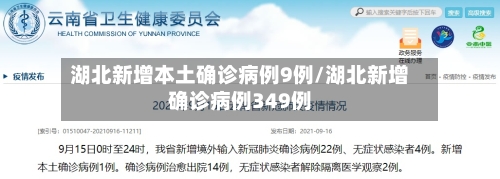 湖北新增本土确诊病例9例/湖北新增确诊病例349例-第2张图片