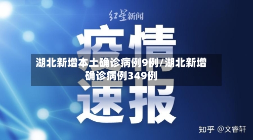 湖北新增本土确诊病例9例/湖北新增确诊病例349例