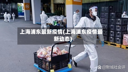 上海浦东最新疫情(上海浦东疫情最新动态)-第2张图片