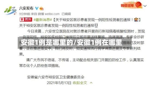 安徽1例是哪里的/安徽1例在哪里