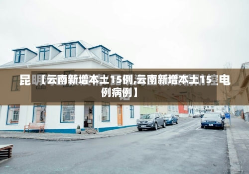 【云南新增本土15例,云南新增本土15例病例】-第2张图片