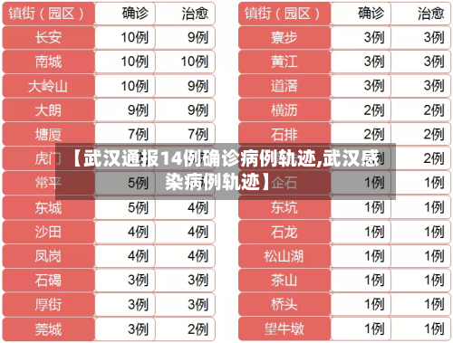 【武汉通报14例确诊病例轨迹,武汉感染病例轨迹】-第2张图片