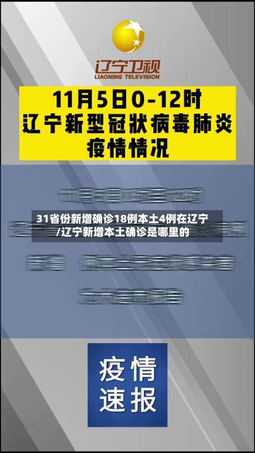 31省份新增确诊18例本土4例在辽宁/辽宁新增本土确诊是哪里的