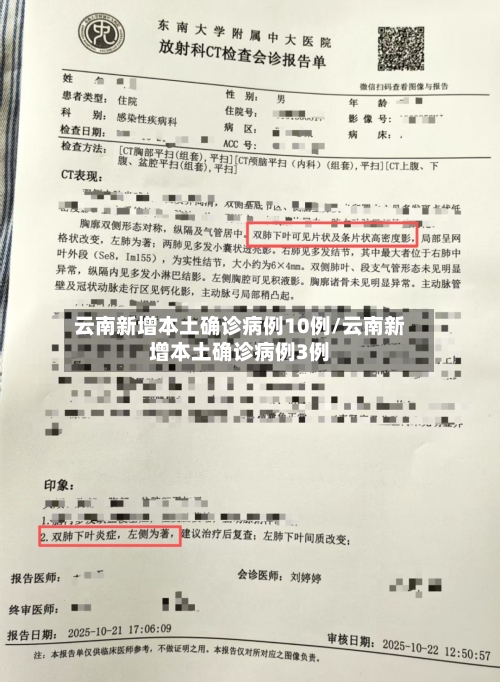 云南新增本土确诊病例10例/云南新增本土确诊病例3例