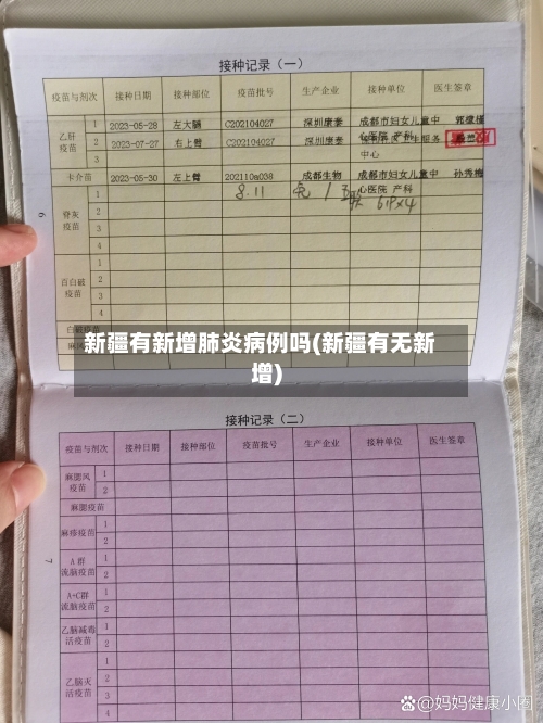 新疆有新增肺炎病例吗(新疆有无新增)-第2张图片