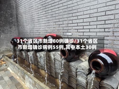 31个省区市新增80例确诊/31个省区市新增确诊病例55例,其中本土30例