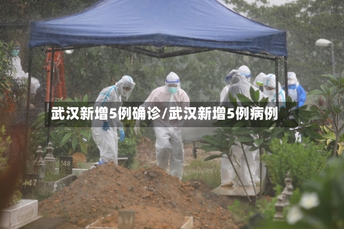 武汉新增5例确诊/武汉新增5例病例