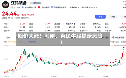 股价大涨！刚刚	，百亿牛股提示风险！-第2张图片