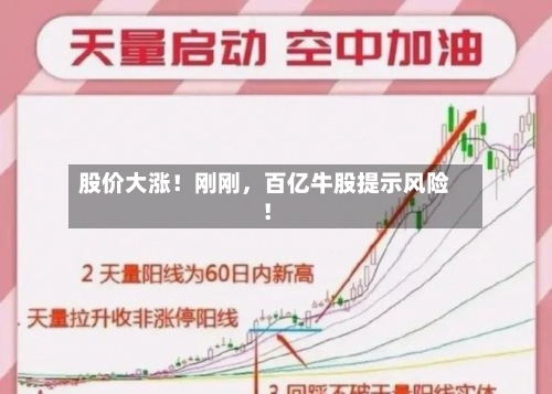 股价大涨！刚刚，百亿牛股提示风险！-第3张图片