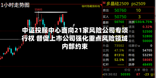 中证投服中心面向21家风险公司专项行权 督促上市公司强化重点风险领域内部约束-第3张图片