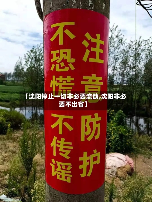 【沈阳停止一切非必要流动,沈阳非必要不出省】