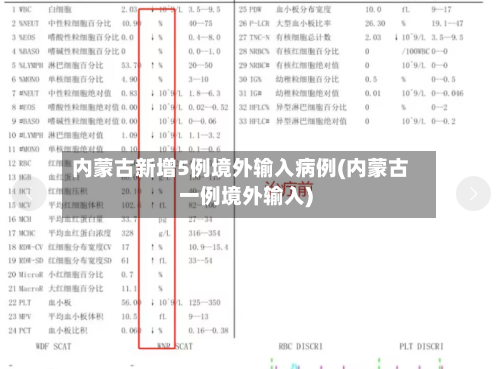 内蒙古新增5例境外输入病例(内蒙古一例境外输入)-第3张图片
