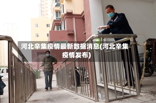 河北辛集疫情最新数据消息(河北辛集疫情发布)-第3张图片
