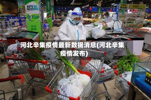 河北辛集疫情最新数据消息(河北辛集疫情发布)