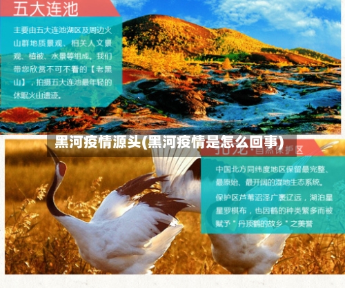 黑河疫情源头(黑河疫情是怎么回事)-第2张图片
