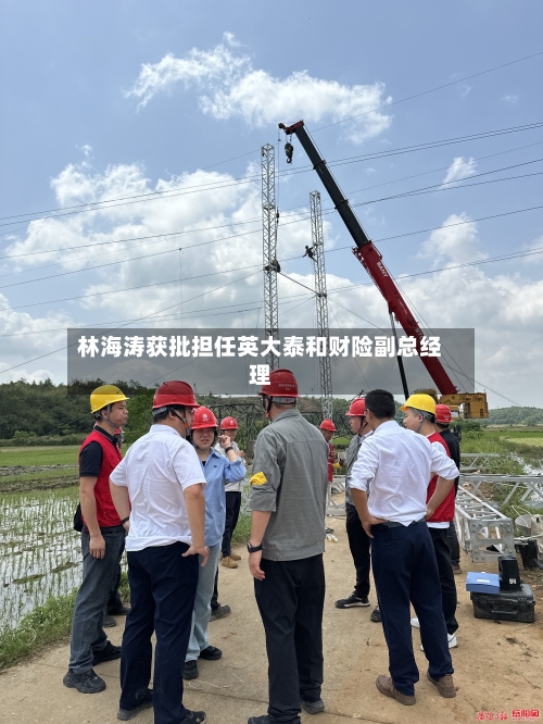 林海涛获批担任英大泰和财险副总经理
