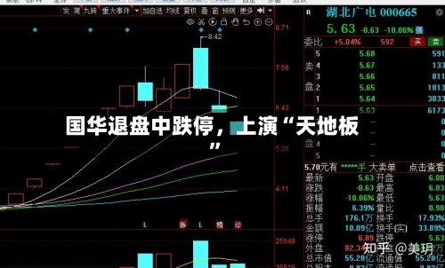 国华退盘中跌停，上演“天地板”