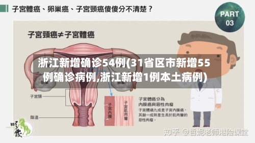 浙江新增确诊54例(31省区市新增55例确诊病例,浙江新增1例本土病例)-第3张图片