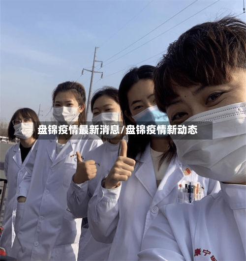 盘锦疫情最新消息/盘锦疫情新动态-第2张图片