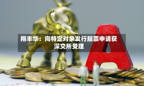 翔丰华：向特定对象发行股票申请获深交所受理