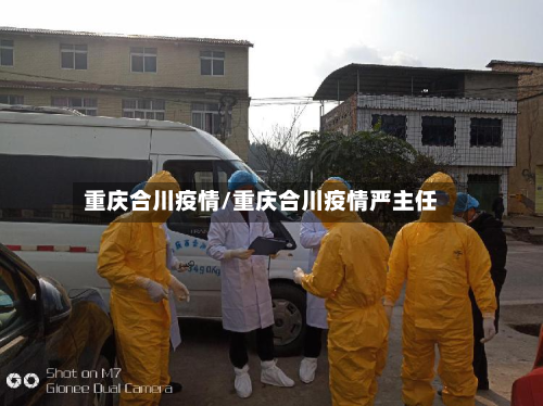 重庆合川疫情/重庆合川疫情严主任