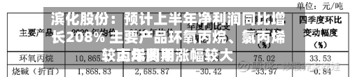 滨化股份：预计上半年净利润同比增长208% 主要产品环氧丙烷、氯丙烯、丙烯费用较上年同期涨幅较大