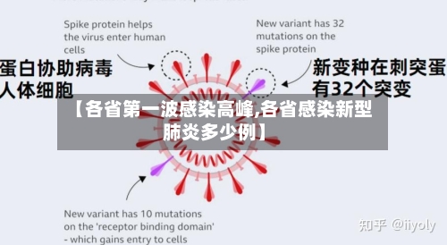 【各省第一波感染高峰,各省感染新型肺炎多少例】-第2张图片
