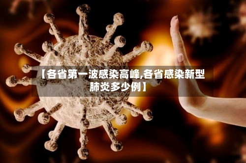 【各省第一波感染高峰,各省感染新型肺炎多少例】