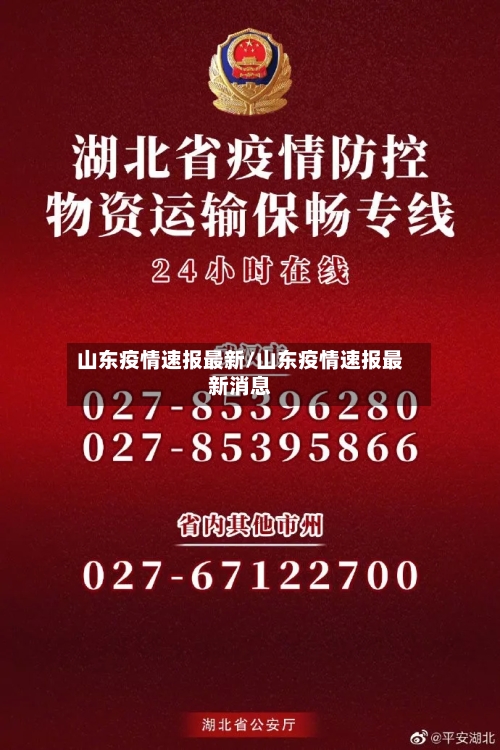 山东疫情速报最新/山东疫情速报最新消息-第2张图片