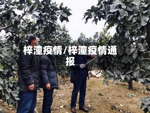 梓潼疫情/梓潼疫情通报-第2张图片