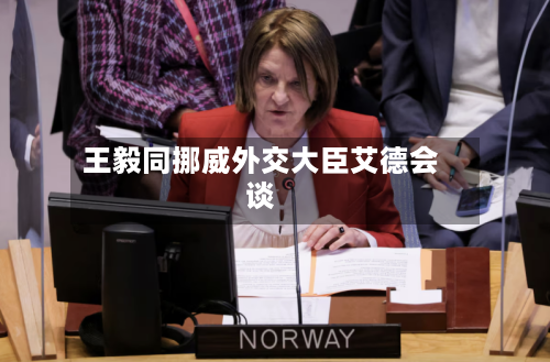 王毅同挪威外交大臣艾德会谈