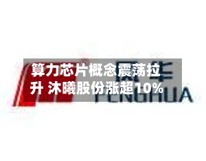 算力芯片概念震荡拉升 沐曦股份涨超10%