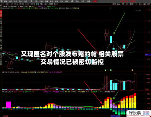 又现匿名对个股发布赌约帖 相关股票交易情况已被密切监控