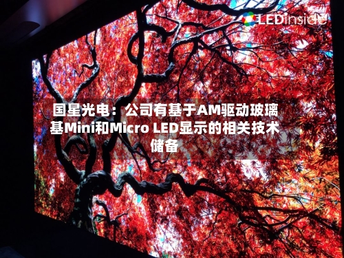 国星光电:公司有基于AM驱动玻璃基Mini和Micro LED显示的相关技术储备-第2张图片