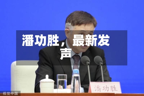 潘功胜，最新发声-第3张图片
