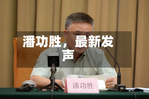 潘功胜，最新发声
