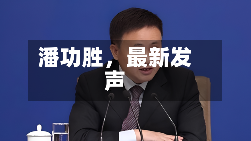 潘功胜，最新发声-第2张图片