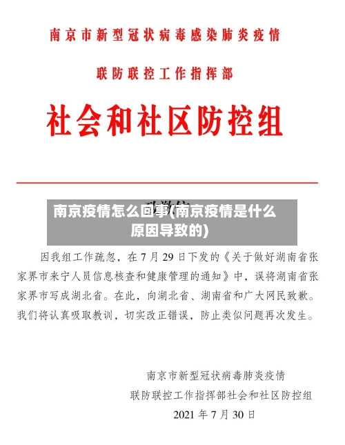 南京疫情怎么回事(南京疫情是什么原因导致的)-第2张图片