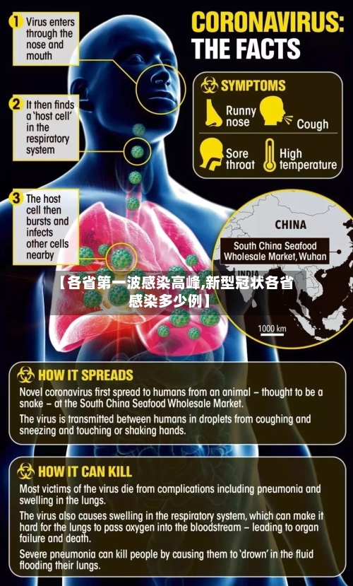 【各省第一波感染高峰,新型冠状各省感染多少例】
