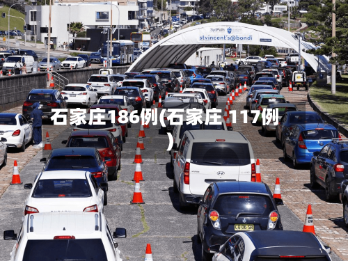 石家庄186例(石家庄 117例)-第2张图片